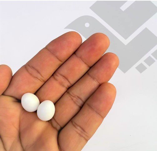 Related Product Image